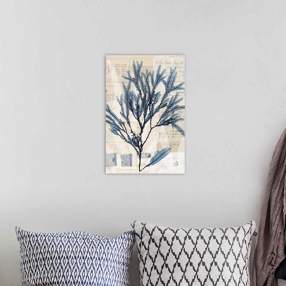 A bohemian room featuring Indigo illustration of seaweed on old papers with handwritten text.