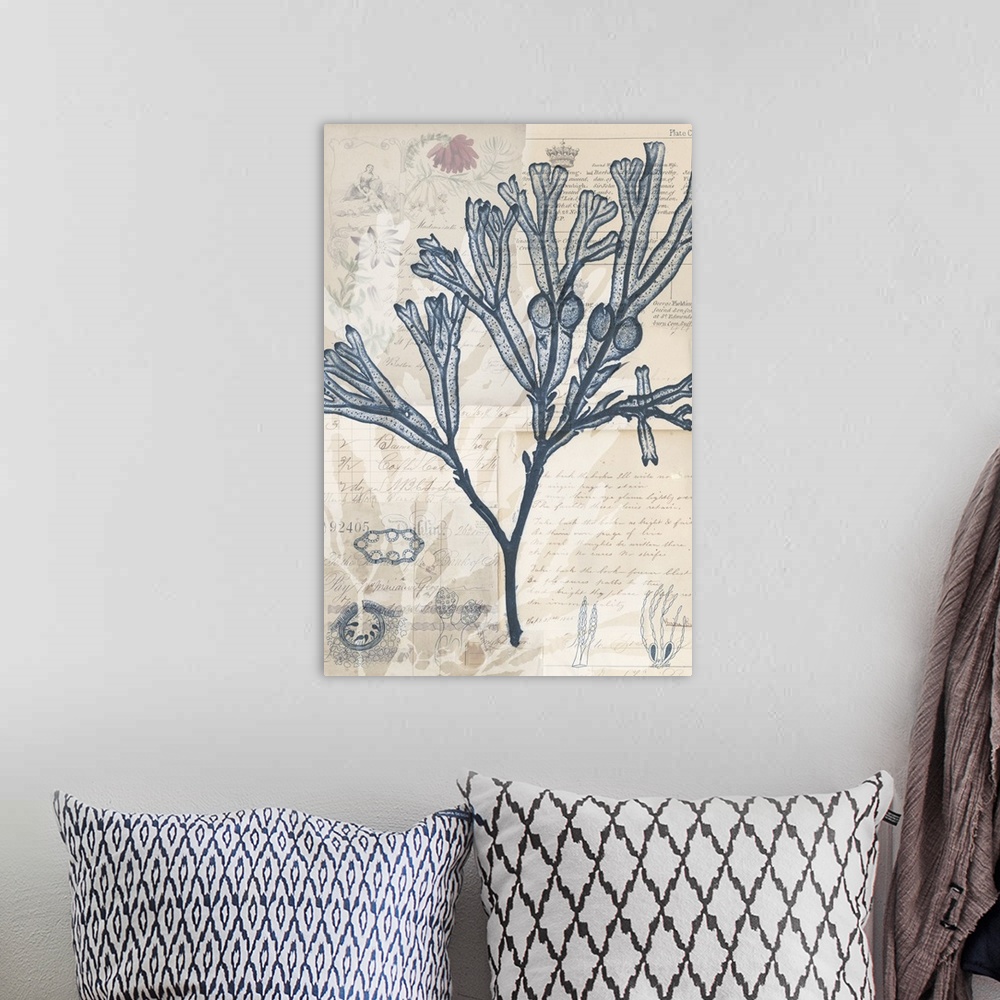 A bohemian room featuring Indigo illustration of seaweed on old papers with handwritten text.