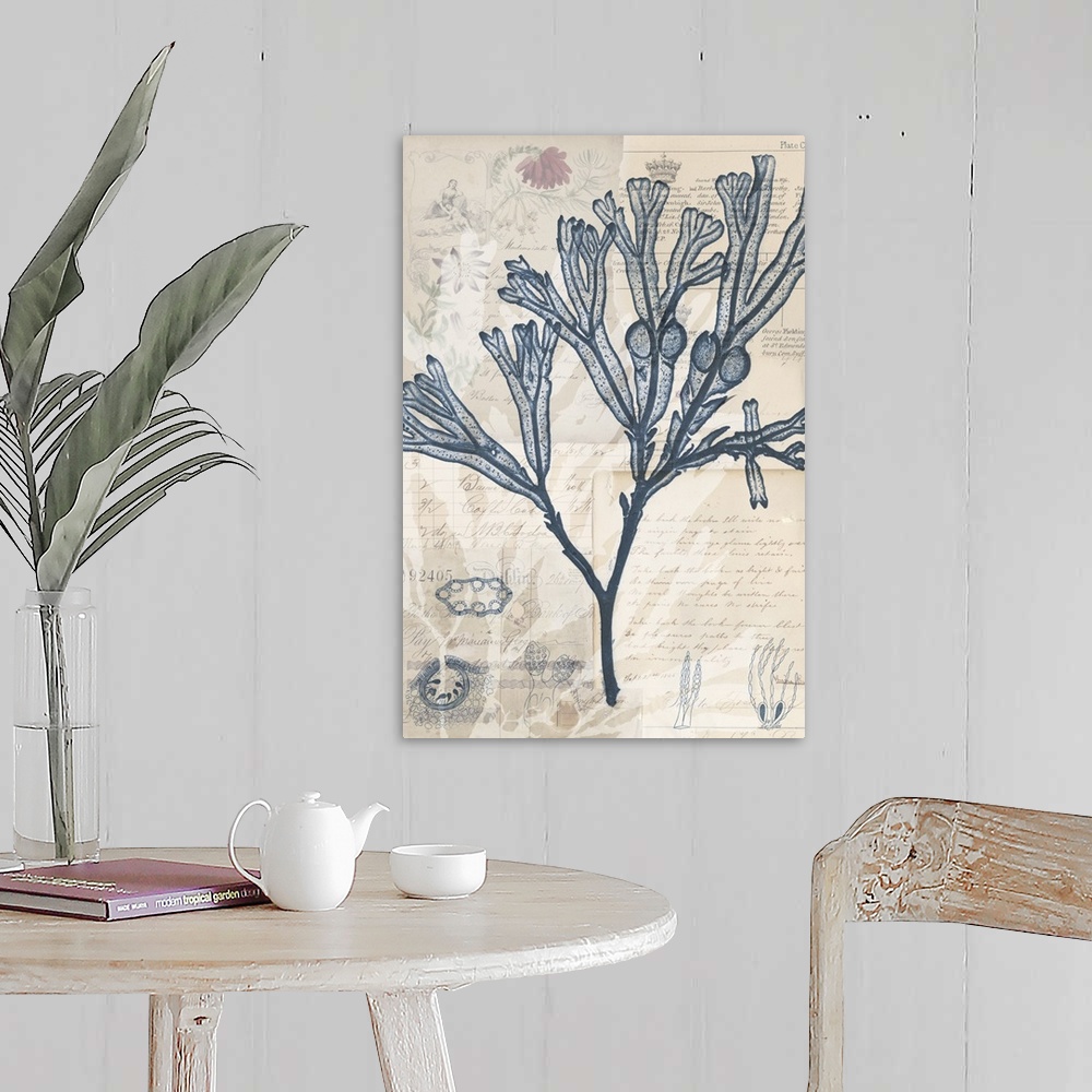 A farmhouse room featuring Indigo illustration of seaweed on old papers with handwritten text.
