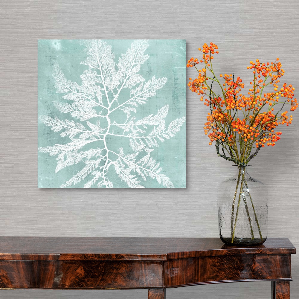 A traditional room featuring Seaweed illustration in white on an aquamarine blue background.