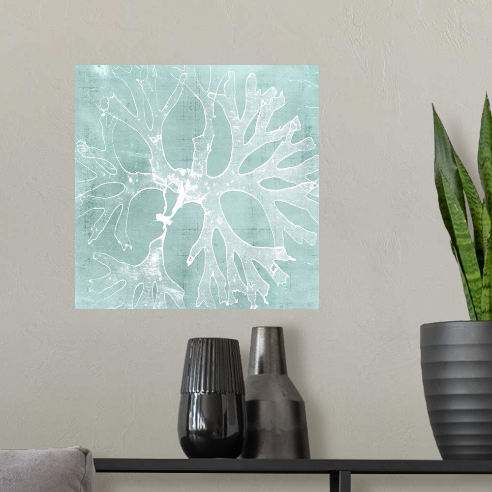 A modern room featuring Seaweed illustration in white on an aquamarine blue background.