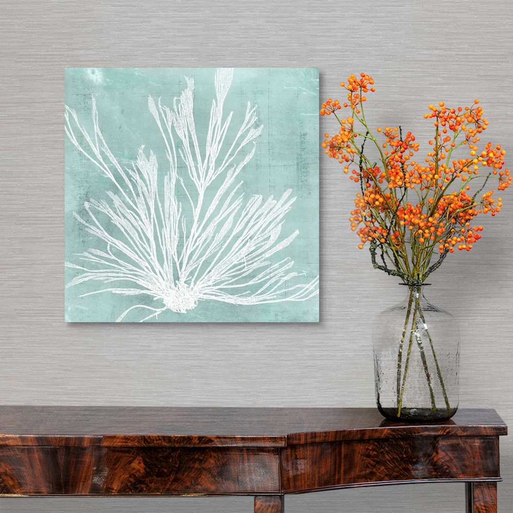 A traditional room featuring Seaweed illustration in white on an aquamarine blue background.