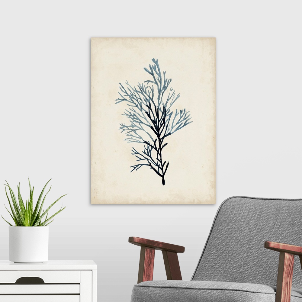 A modern room featuring Seaweed Specimens IV