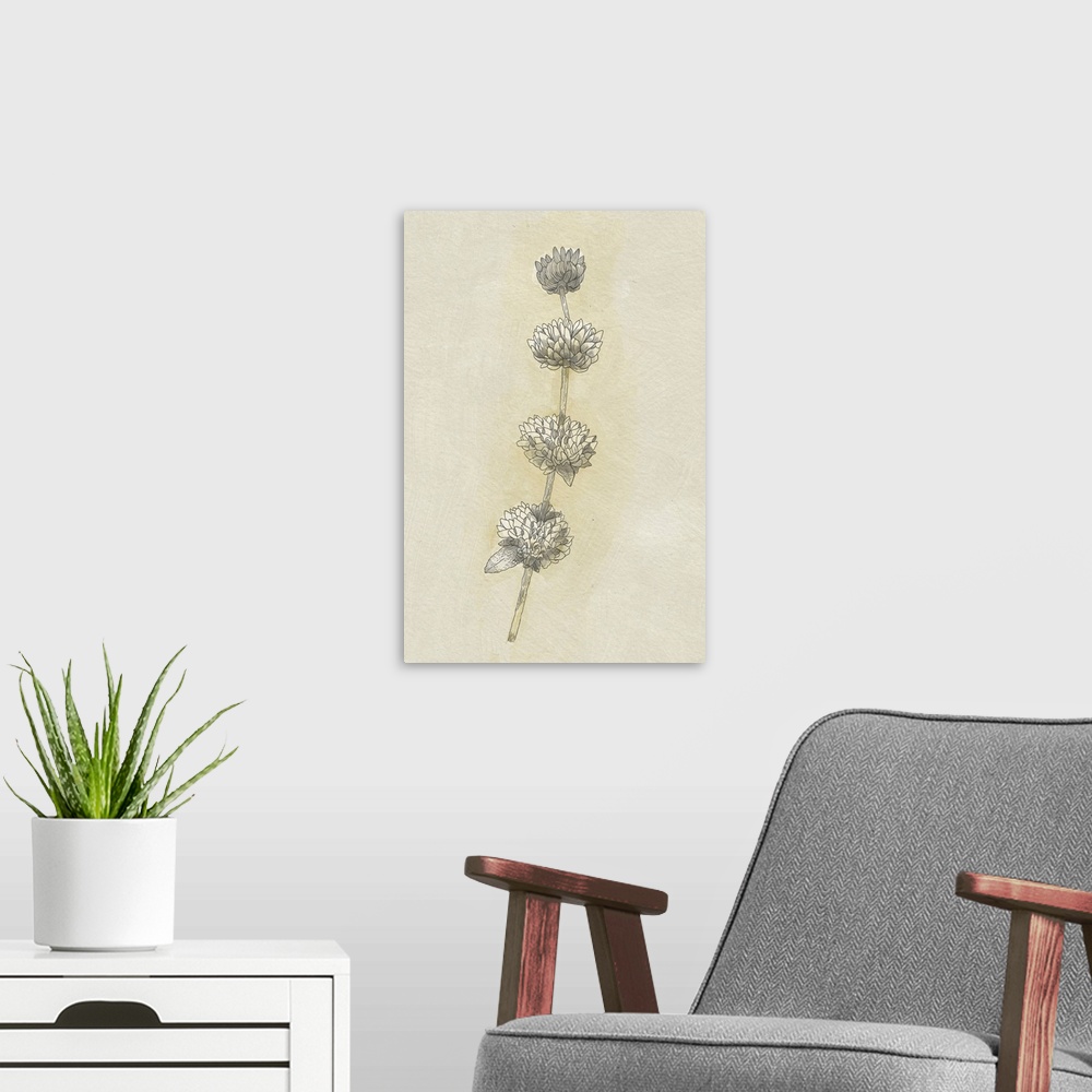A modern room featuring Seed Pods Study I