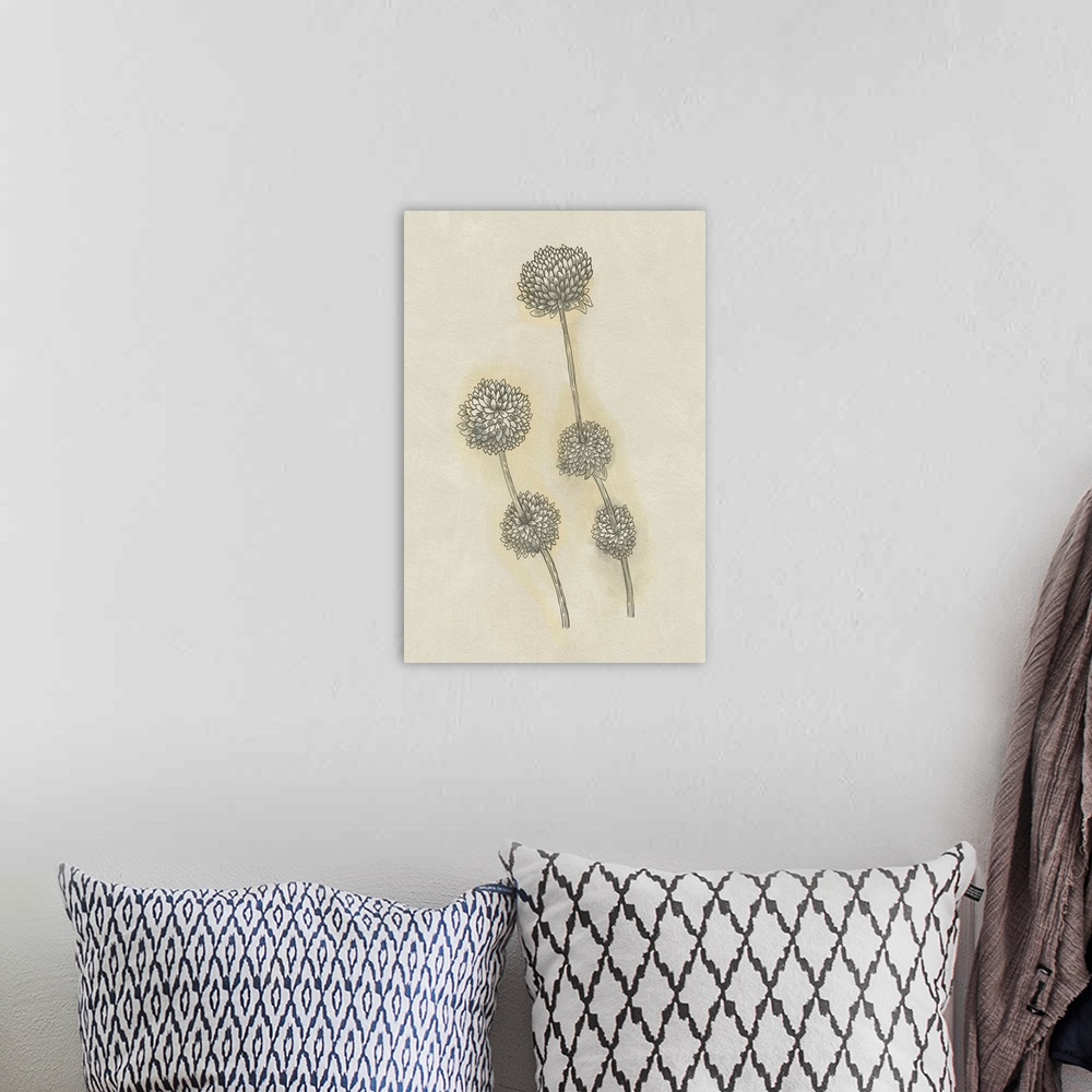 A bohemian room featuring Seed Pods Study II