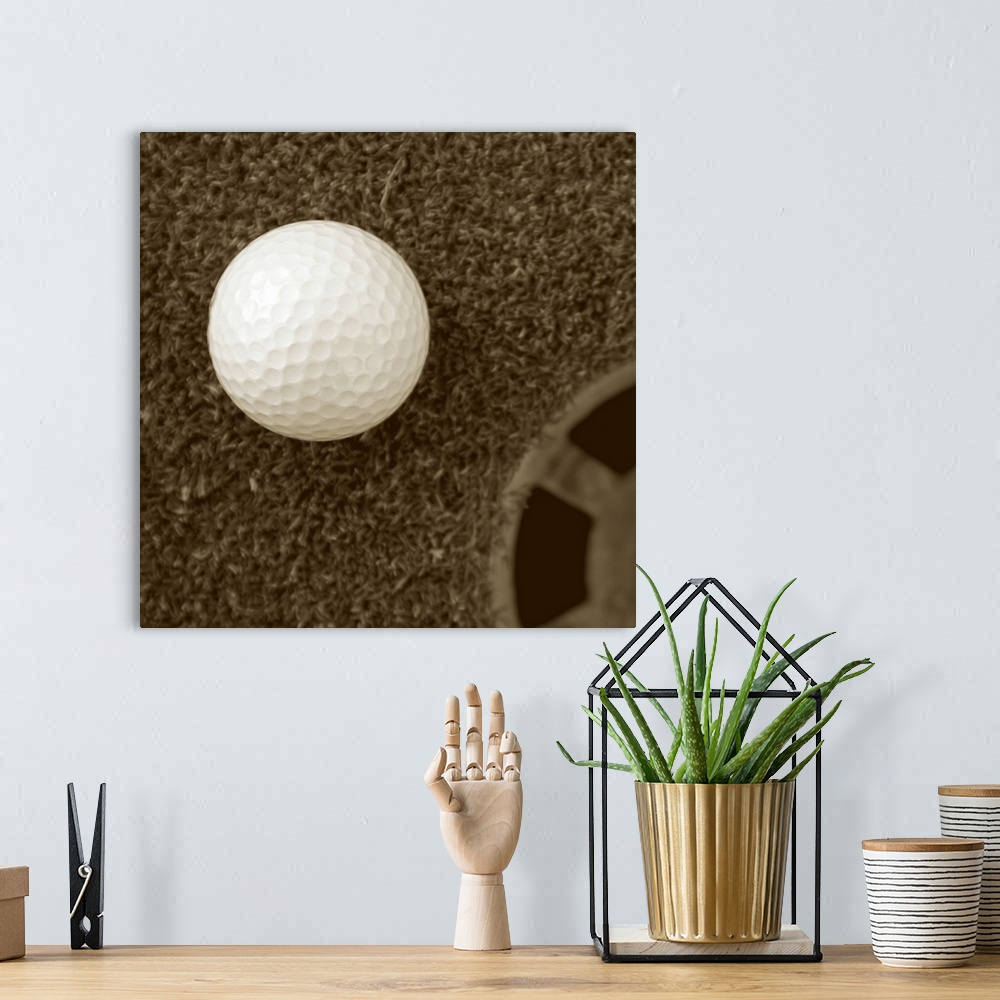 A bohemian room featuring Sepia Golf Ball Study I