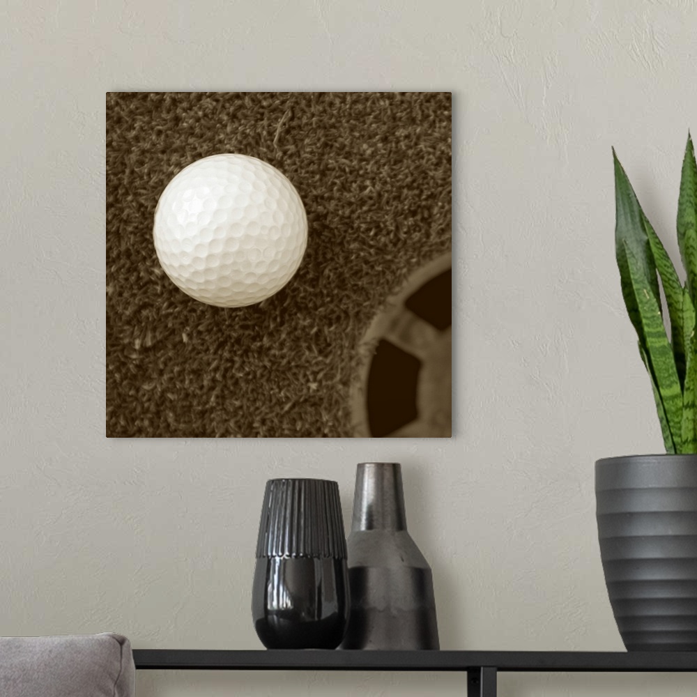 A modern room featuring Sepia Golf Ball Study I