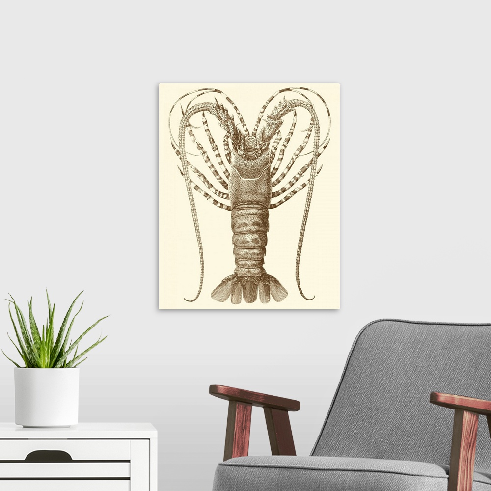 A modern room featuring Sepia Lobster I