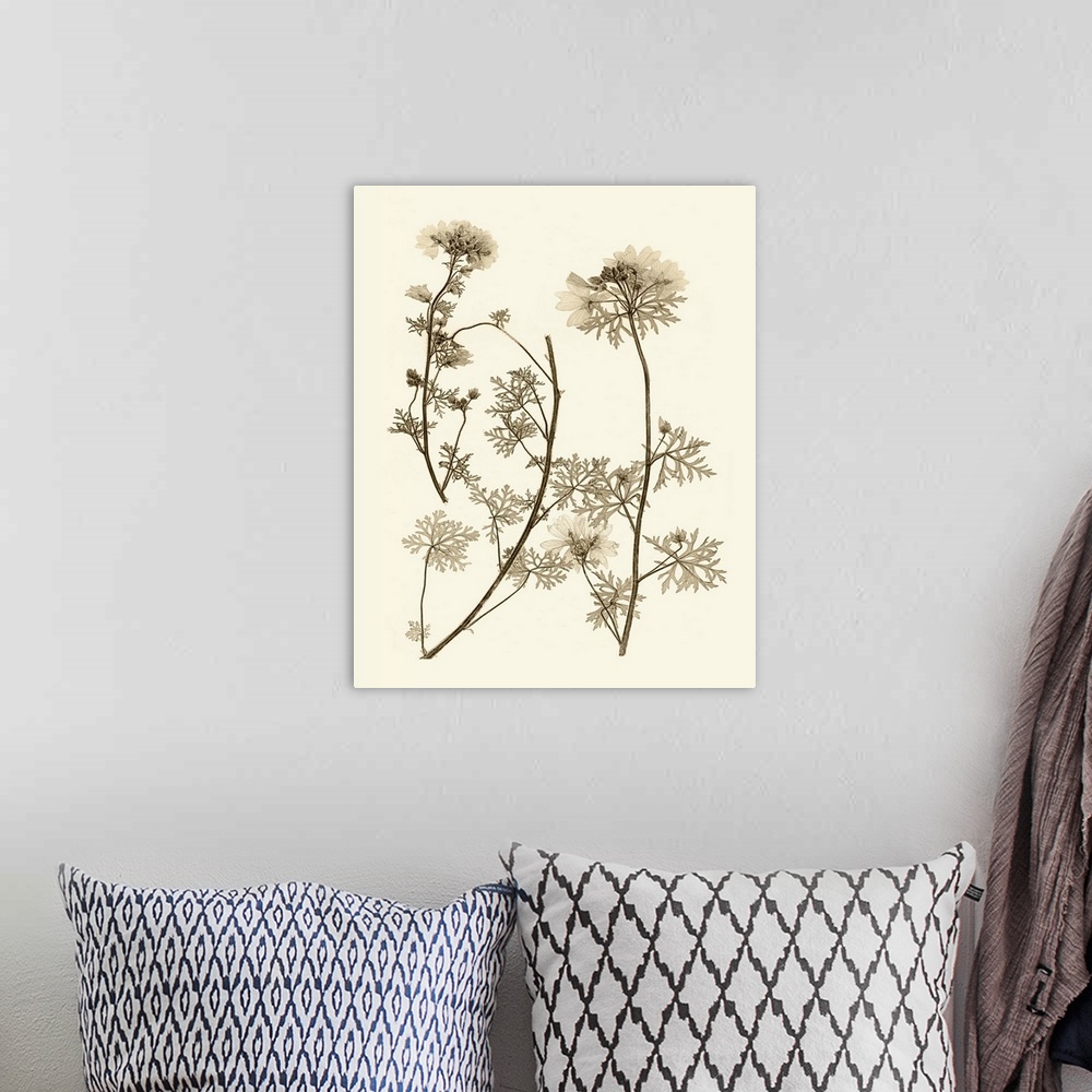 A bohemian room featuring Sepia Nature Study IV