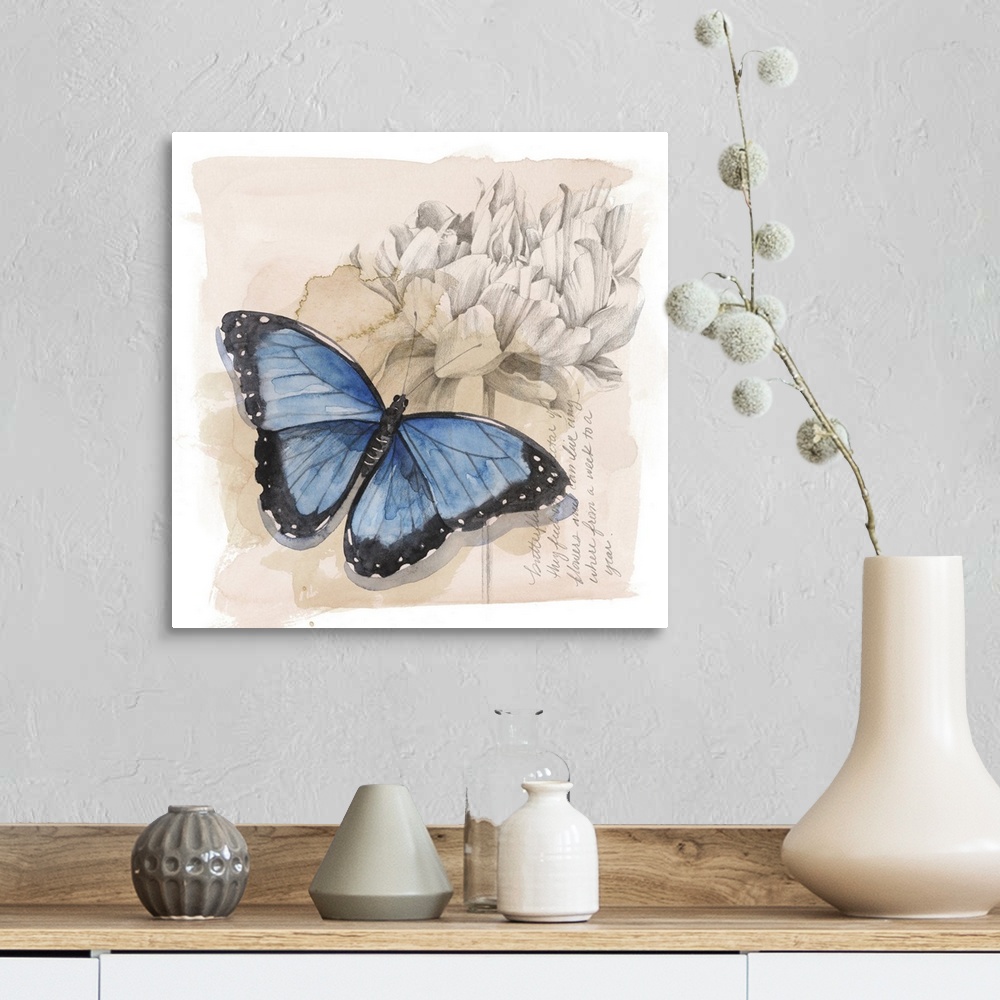 A farmhouse room featuring Shadow Box Butterfly II
