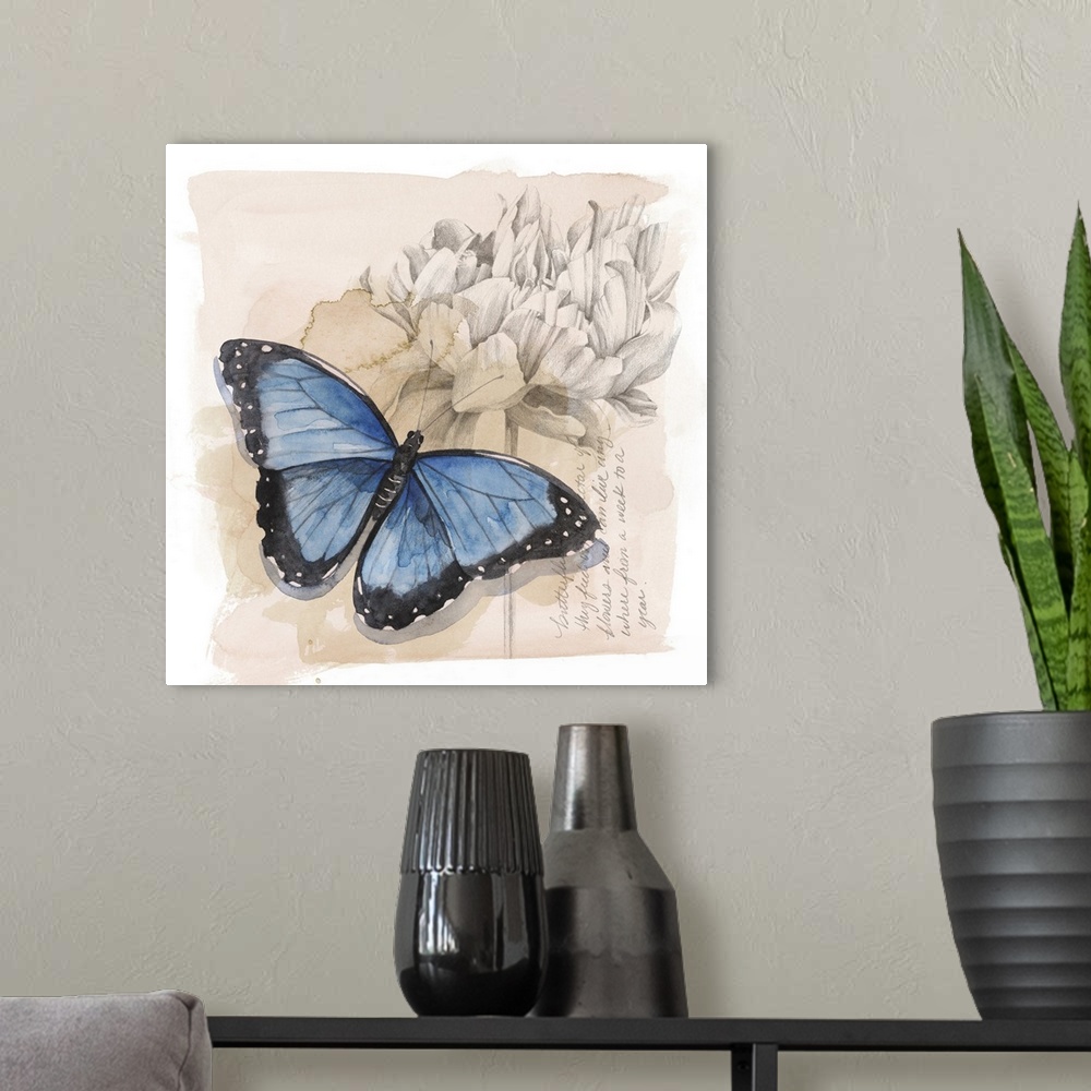 A modern room featuring Shadow Box Butterfly II