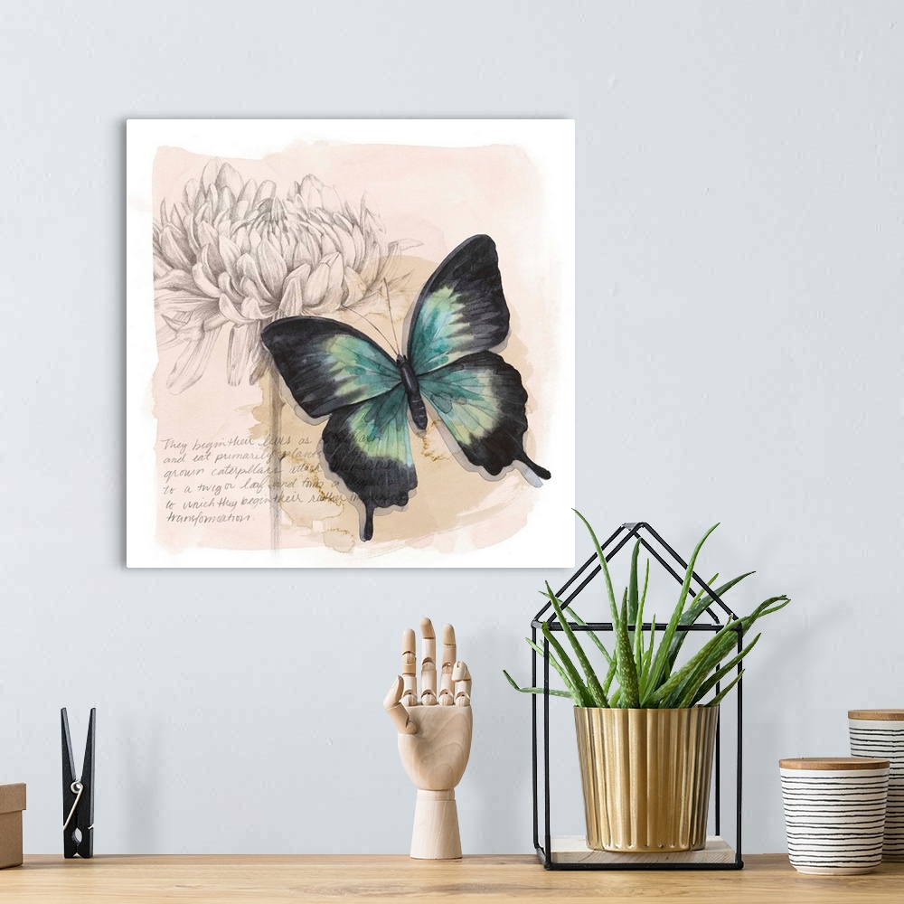 A bohemian room featuring Shadow Box Butterfly III