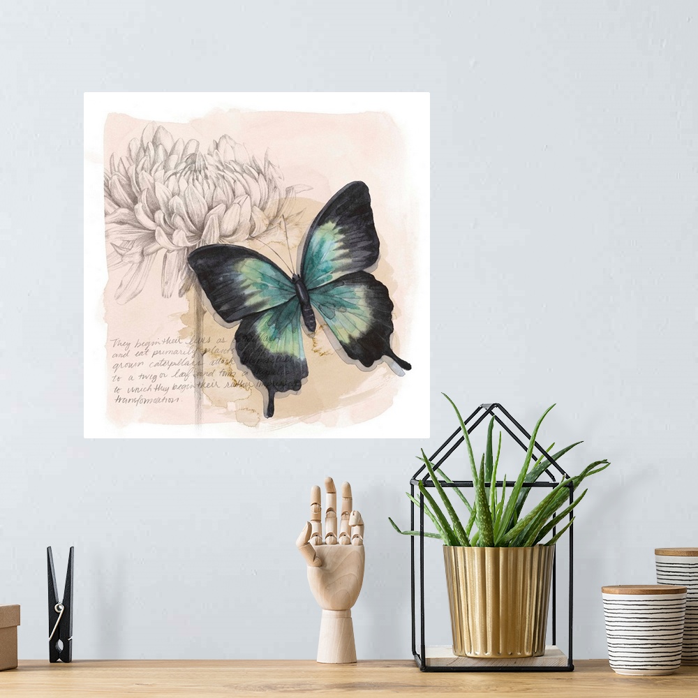 A bohemian room featuring Shadow Box Butterfly III