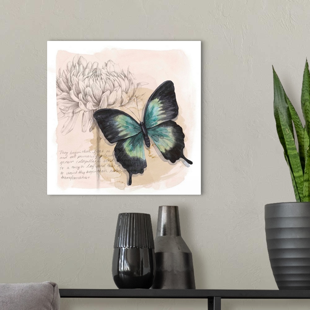 A modern room featuring Shadow Box Butterfly III