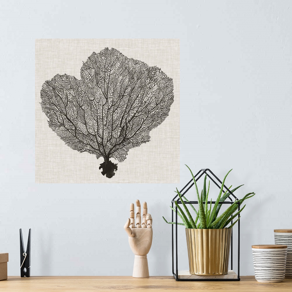 A bohemian room featuring Contemporary decor artwork of a coral sea fan in black against a textured background.