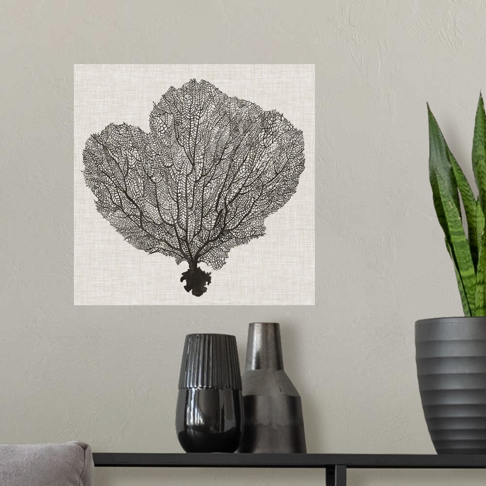 A modern room featuring Contemporary decor artwork of a coral sea fan in black against a textured background.