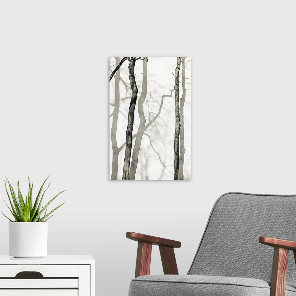 A modern room featuring Shadowed Tree Trunks II