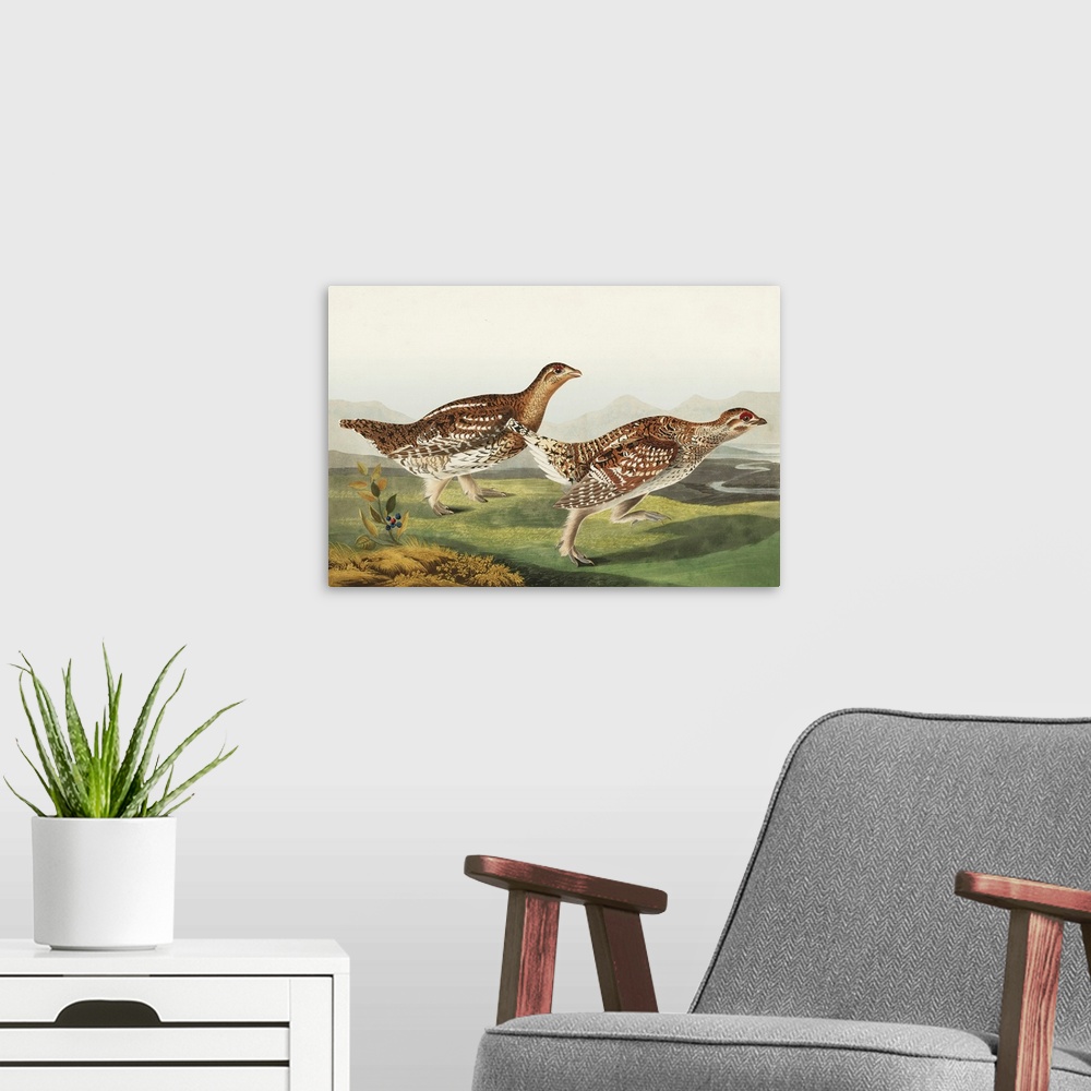 A modern room featuring Sharp-Tailed Grouse