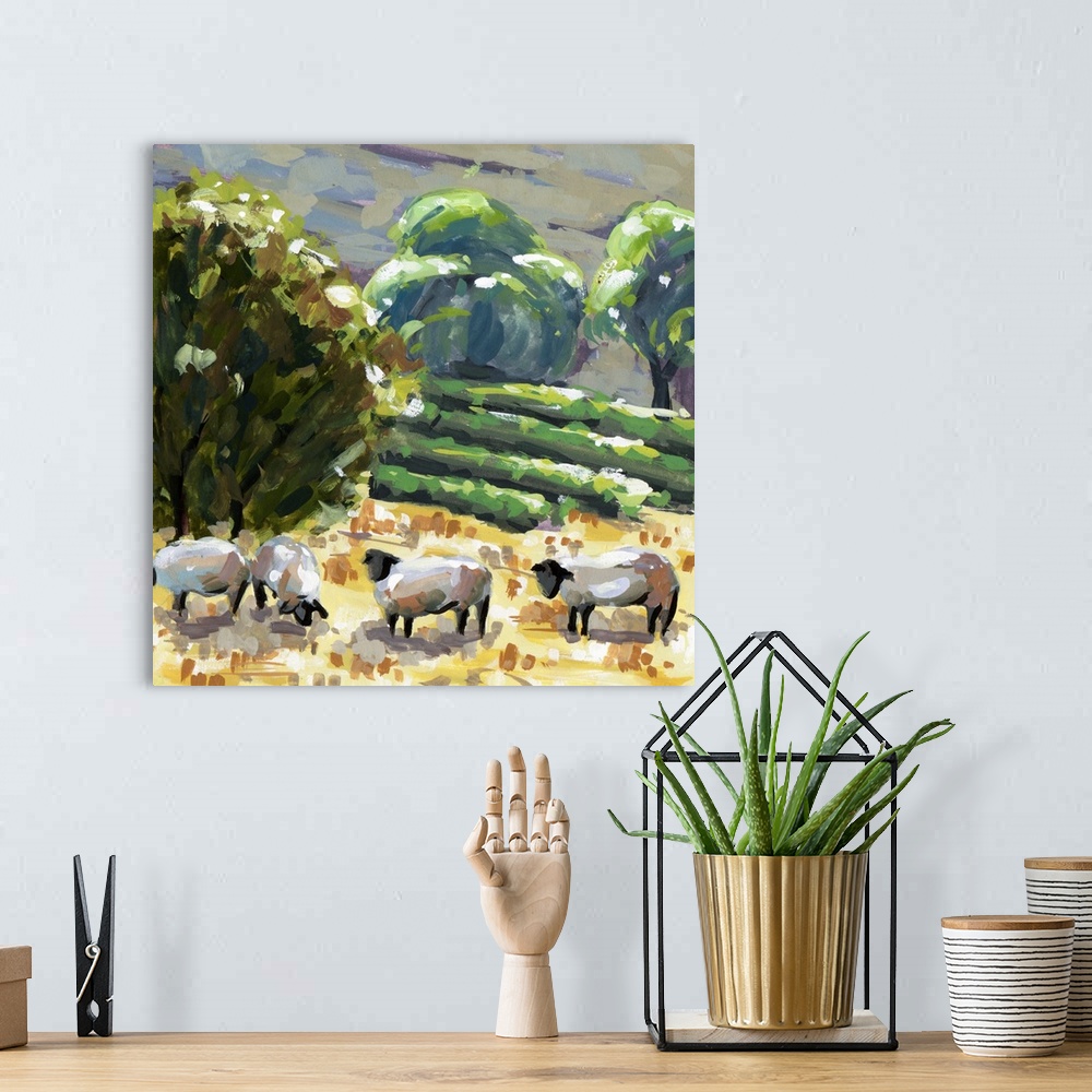 A bohemian room featuring Sheep In Summer I