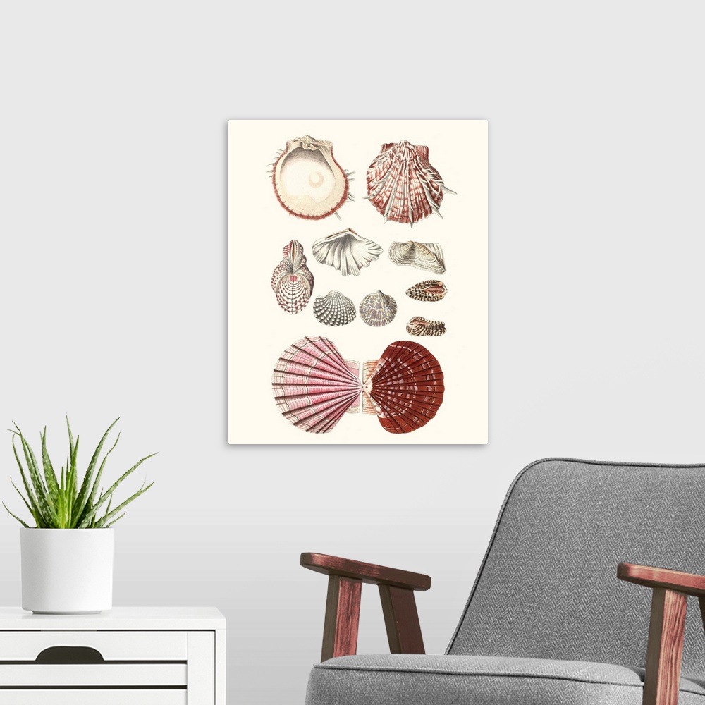 A modern room featuring Shell Collection VI