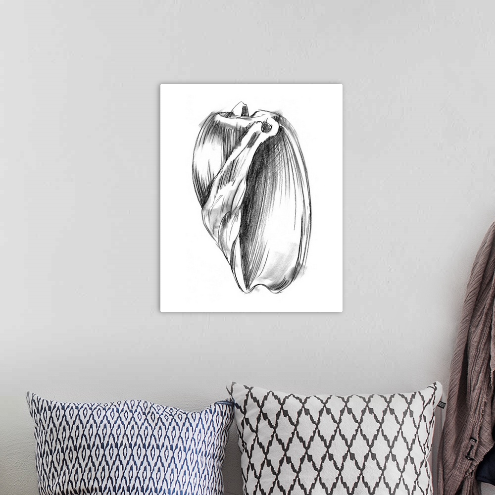 A bohemian room featuring Shell Sketch III