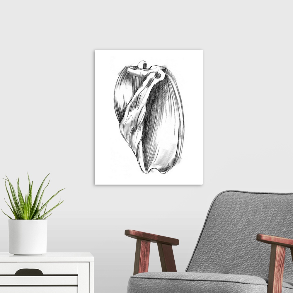 A modern room featuring Shell Sketch III