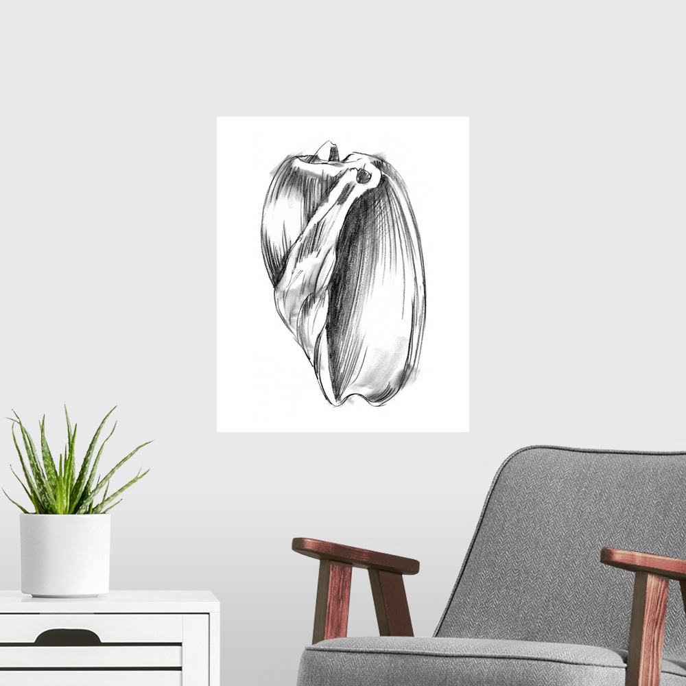 A modern room featuring Shell Sketch III