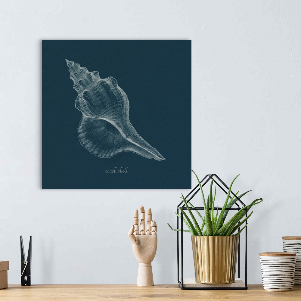 A bohemian room featuring Shell Study On Teal I