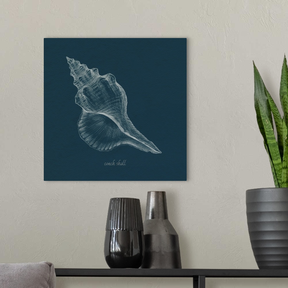 A modern room featuring Shell Study On Teal I