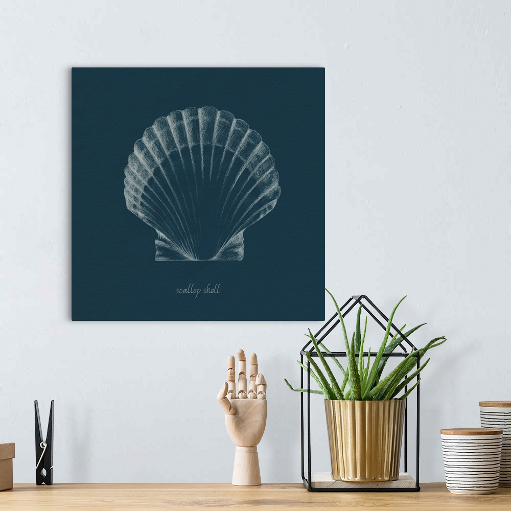 A bohemian room featuring Shell Study On Teal III