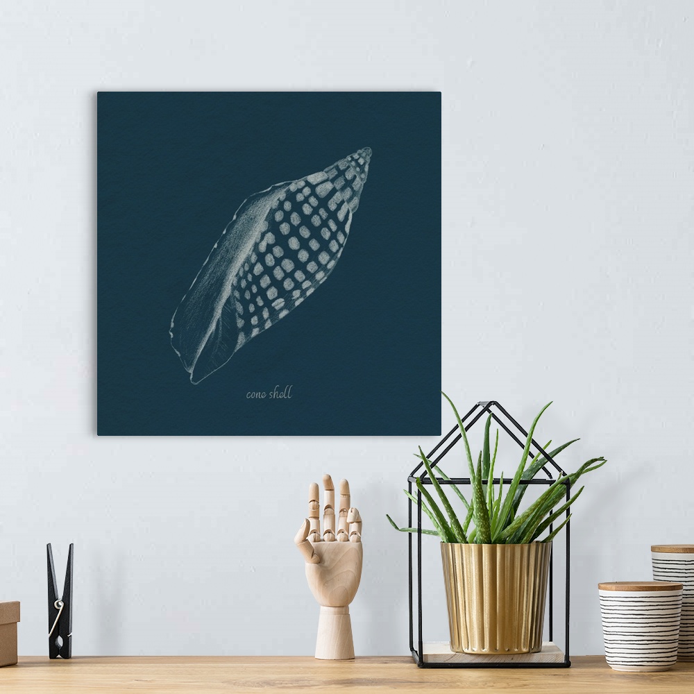 A bohemian room featuring Shell Study On Teal IV