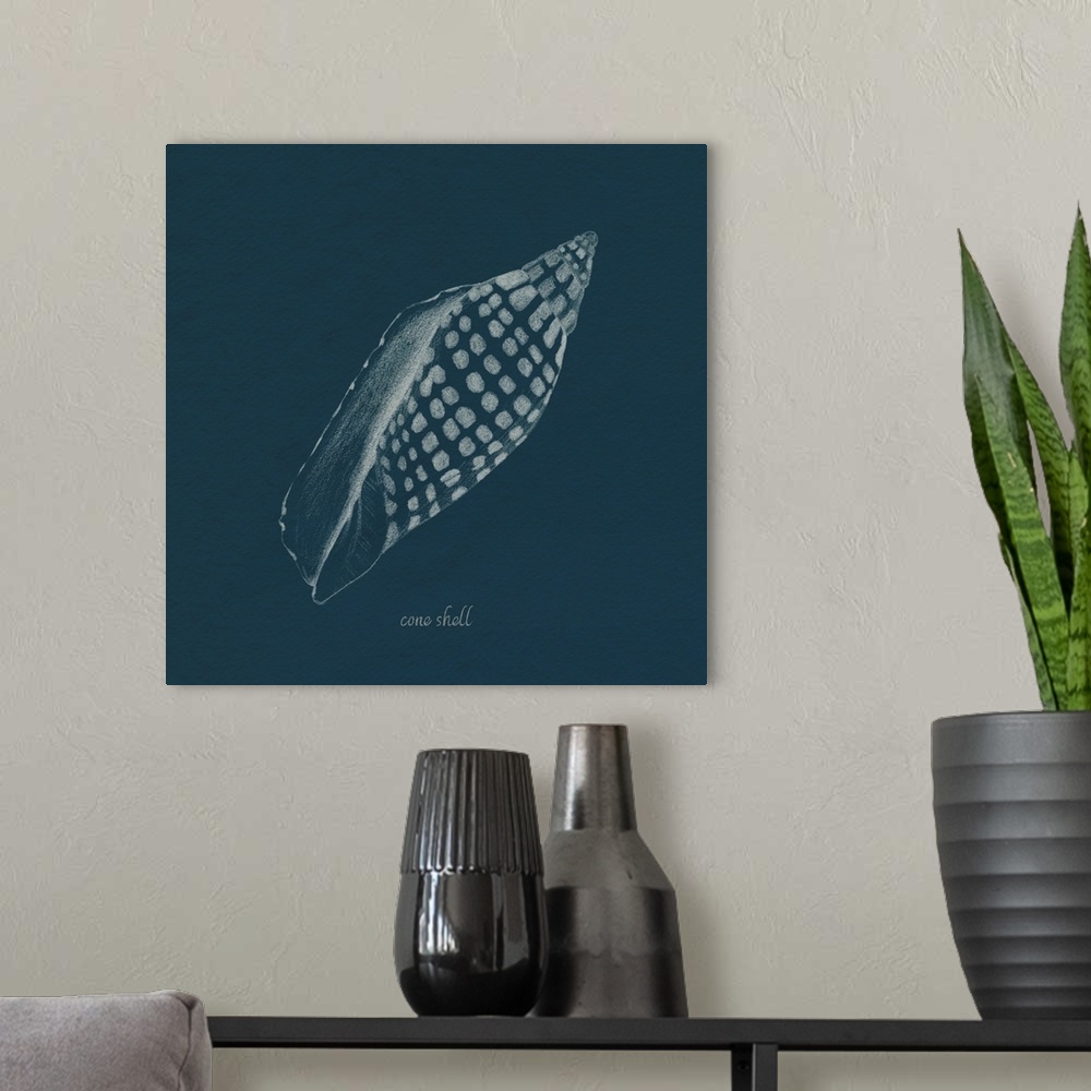 A modern room featuring Shell Study On Teal IV