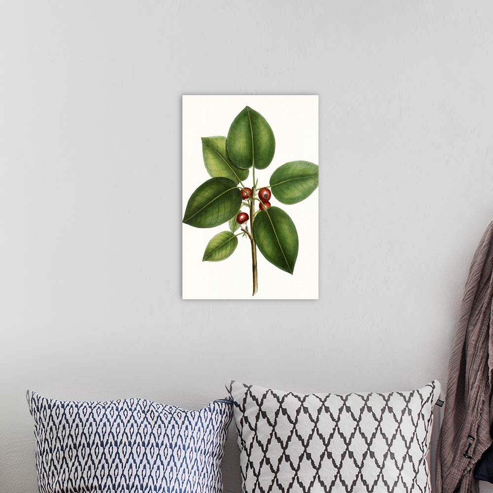 A bohemian room featuring This contemporary artwork features an illustration of a close up of a botanical plant colored ove...