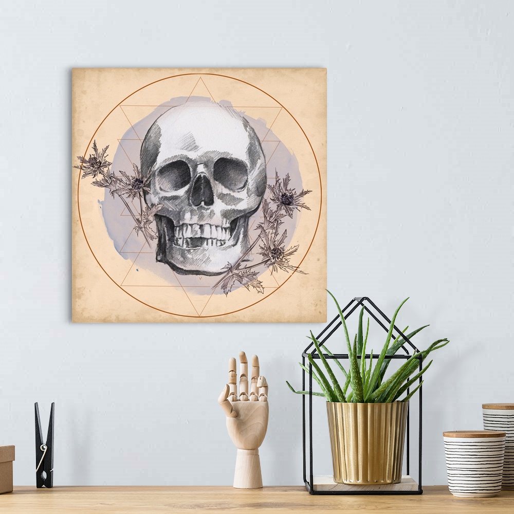 A bohemian room featuring Skull Thistle I