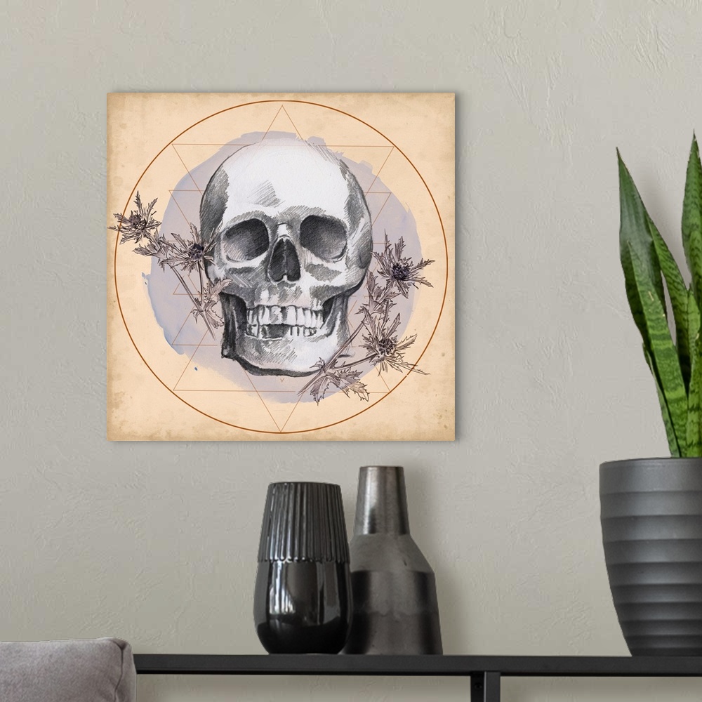 A modern room featuring Skull Thistle I