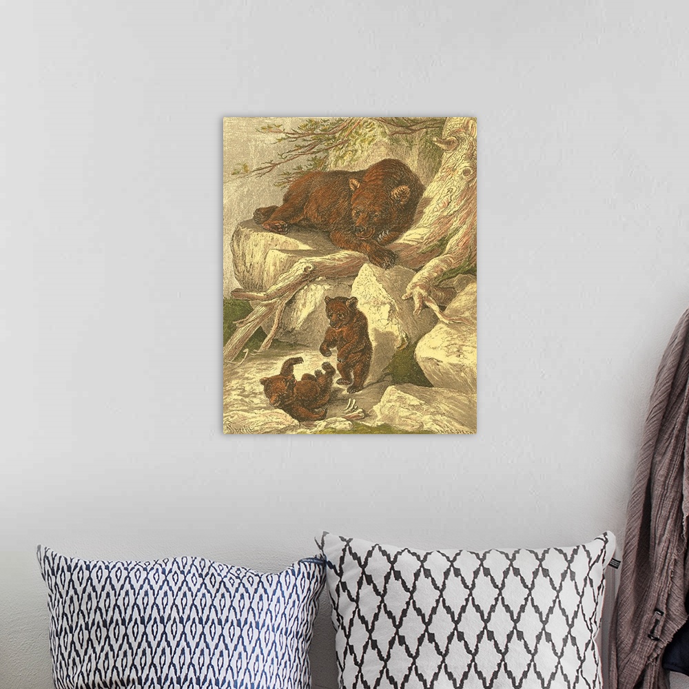 A bohemian room featuring Small Brown Bear