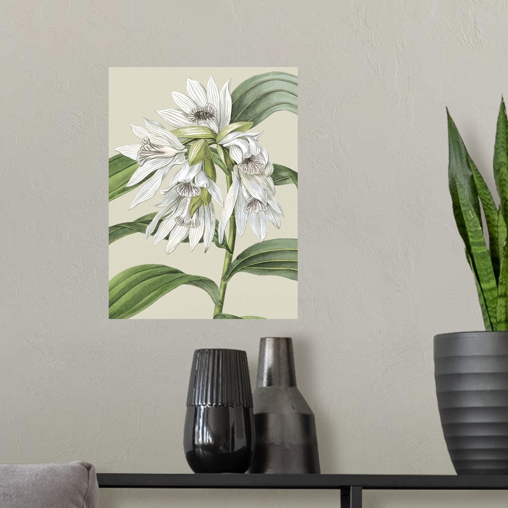 A modern room featuring Small Orchid Blooms III