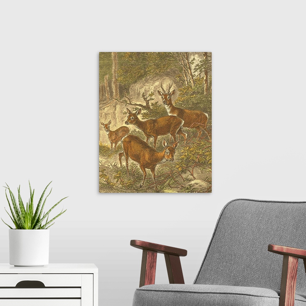 A modern room featuring Small Roe Deer