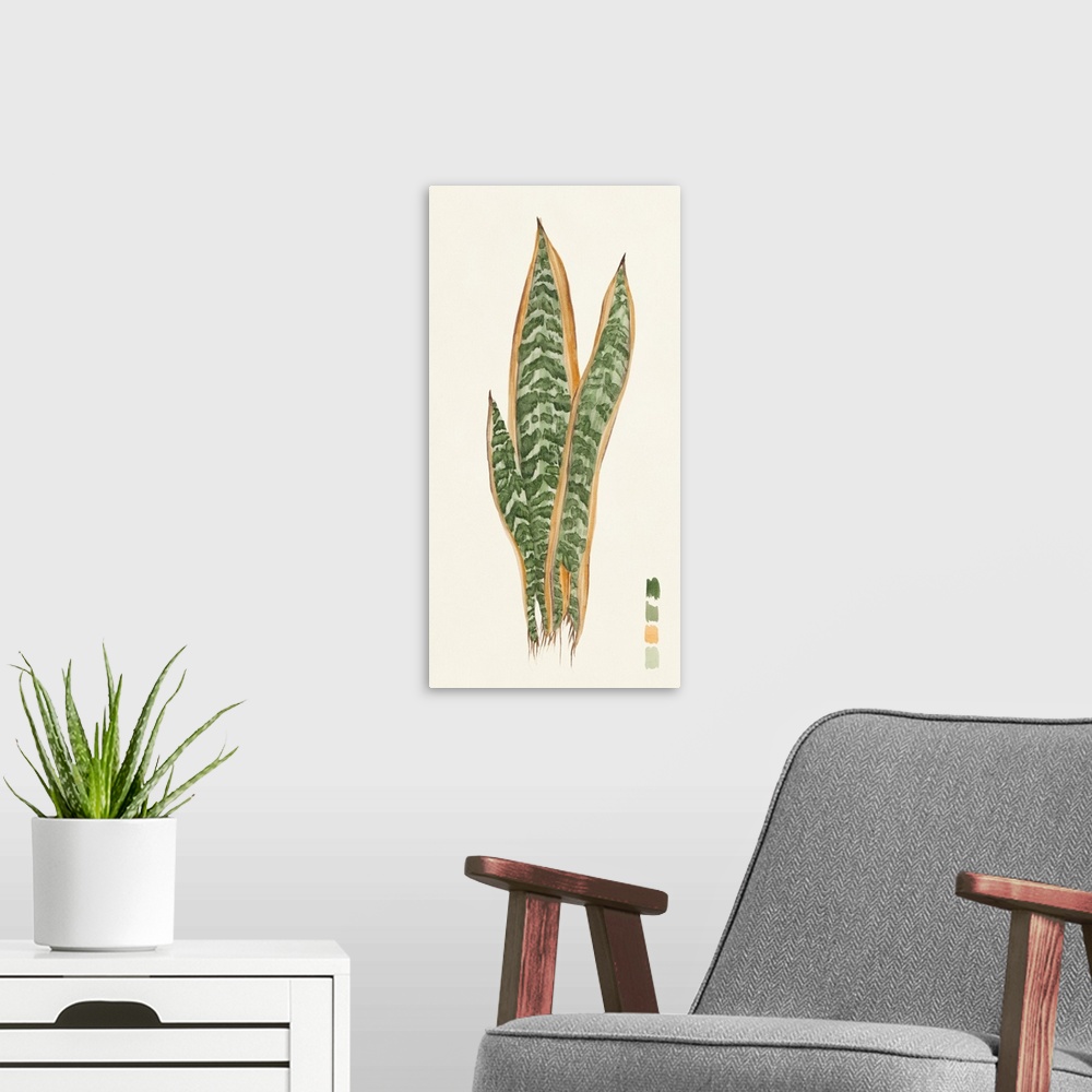 A modern room featuring Snake Plants I