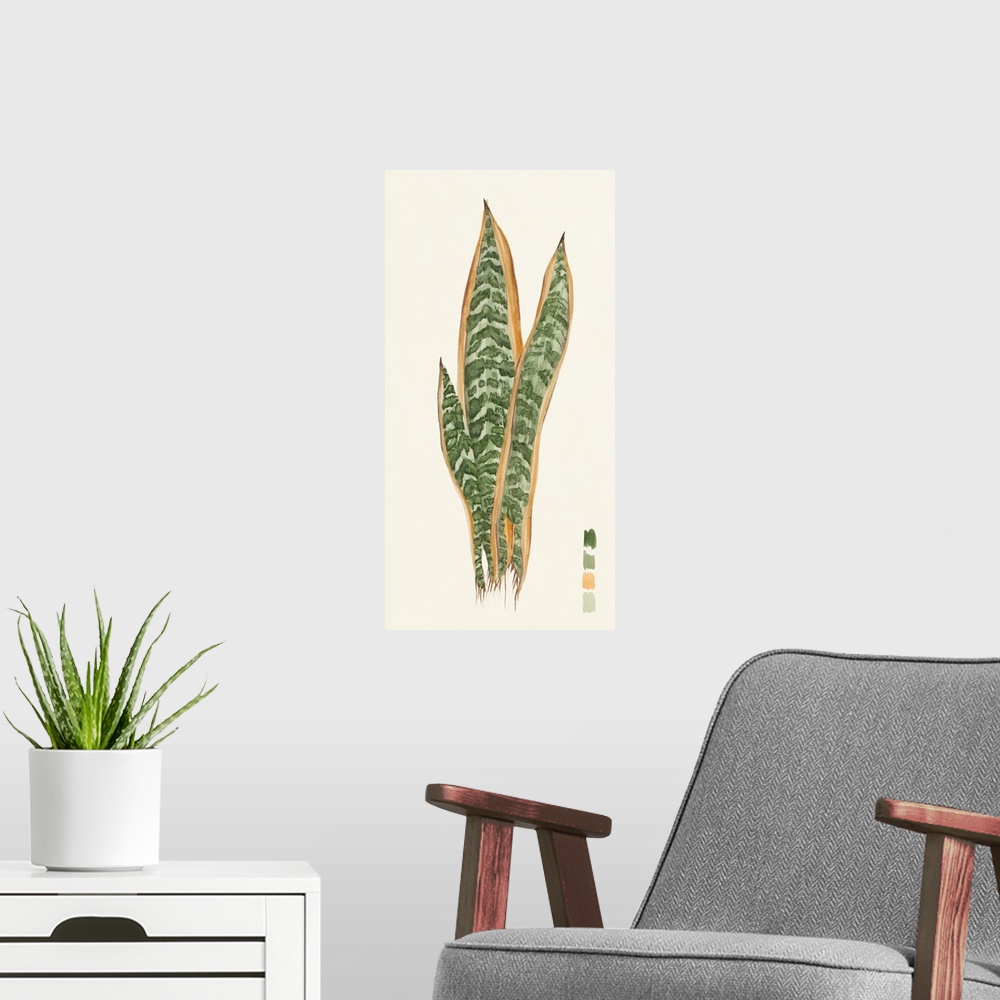 A modern room featuring Snake Plants I