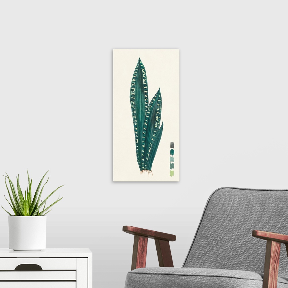 A modern room featuring Snake Plants III