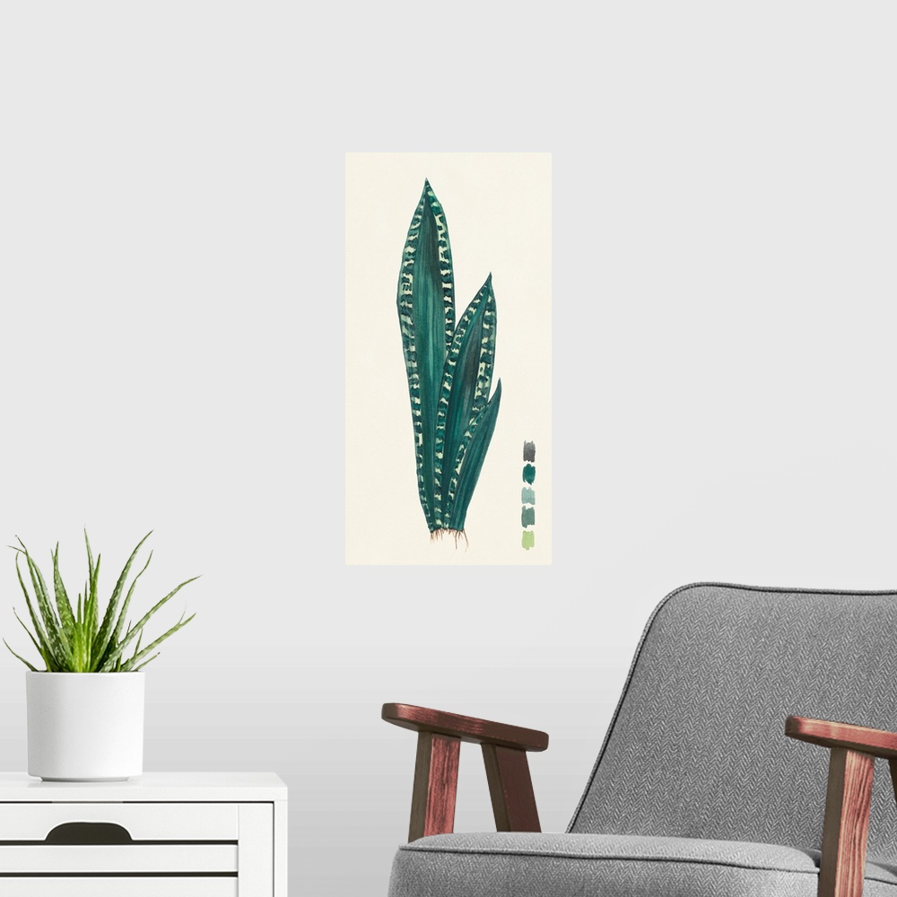 A modern room featuring Snake Plants III