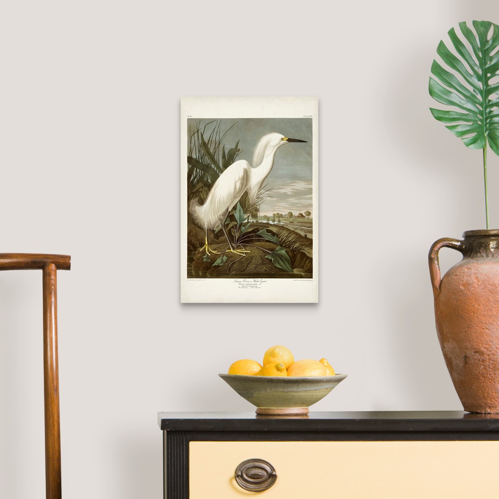 A traditional room featuring Snowy Heron