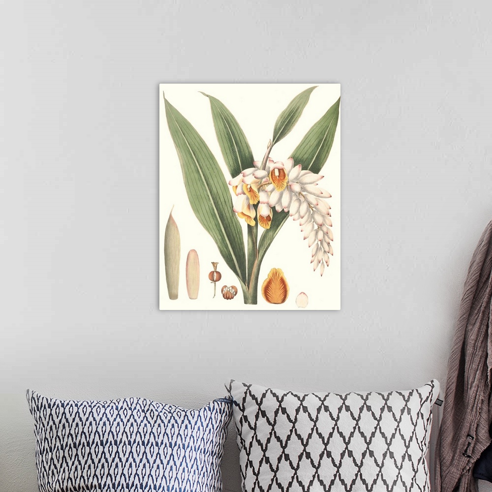 A bohemian room featuring Decorative artwork of tropical plants in soft tones.