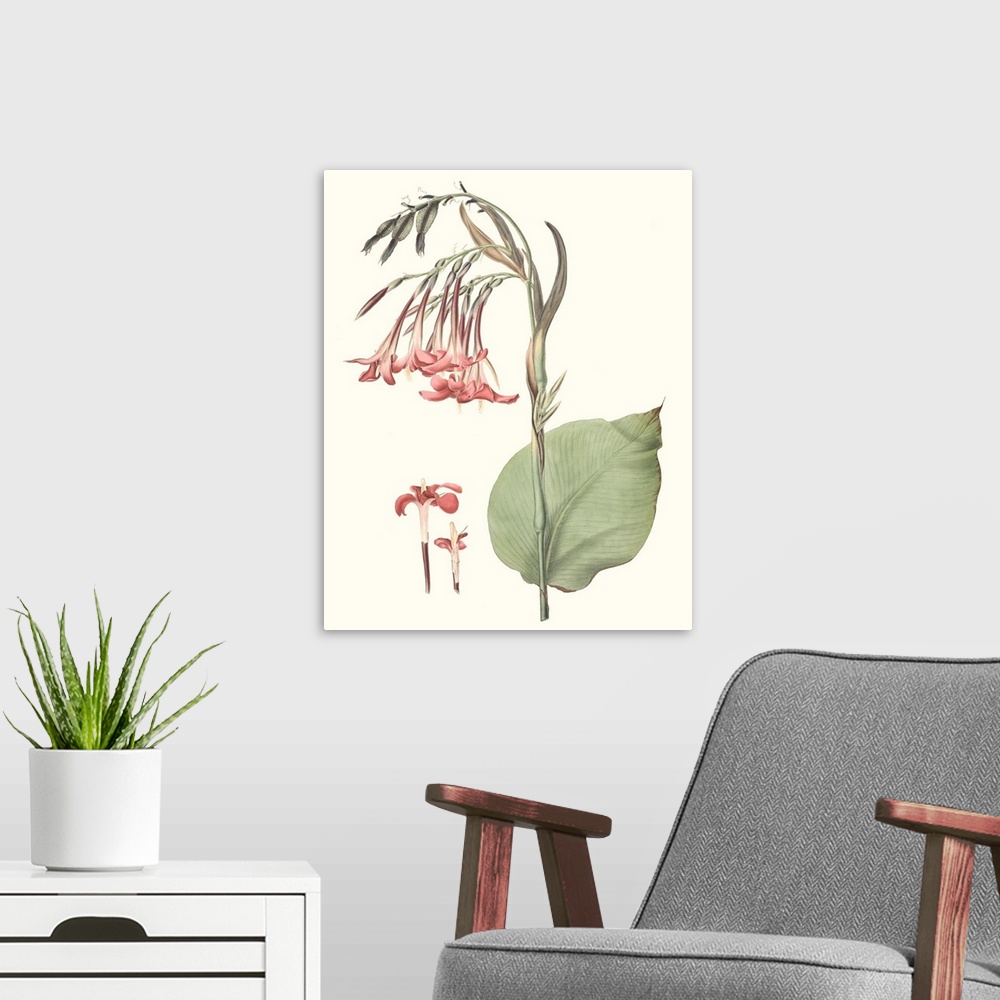 A modern room featuring Decorative artwork of tropical plants in soft tones.