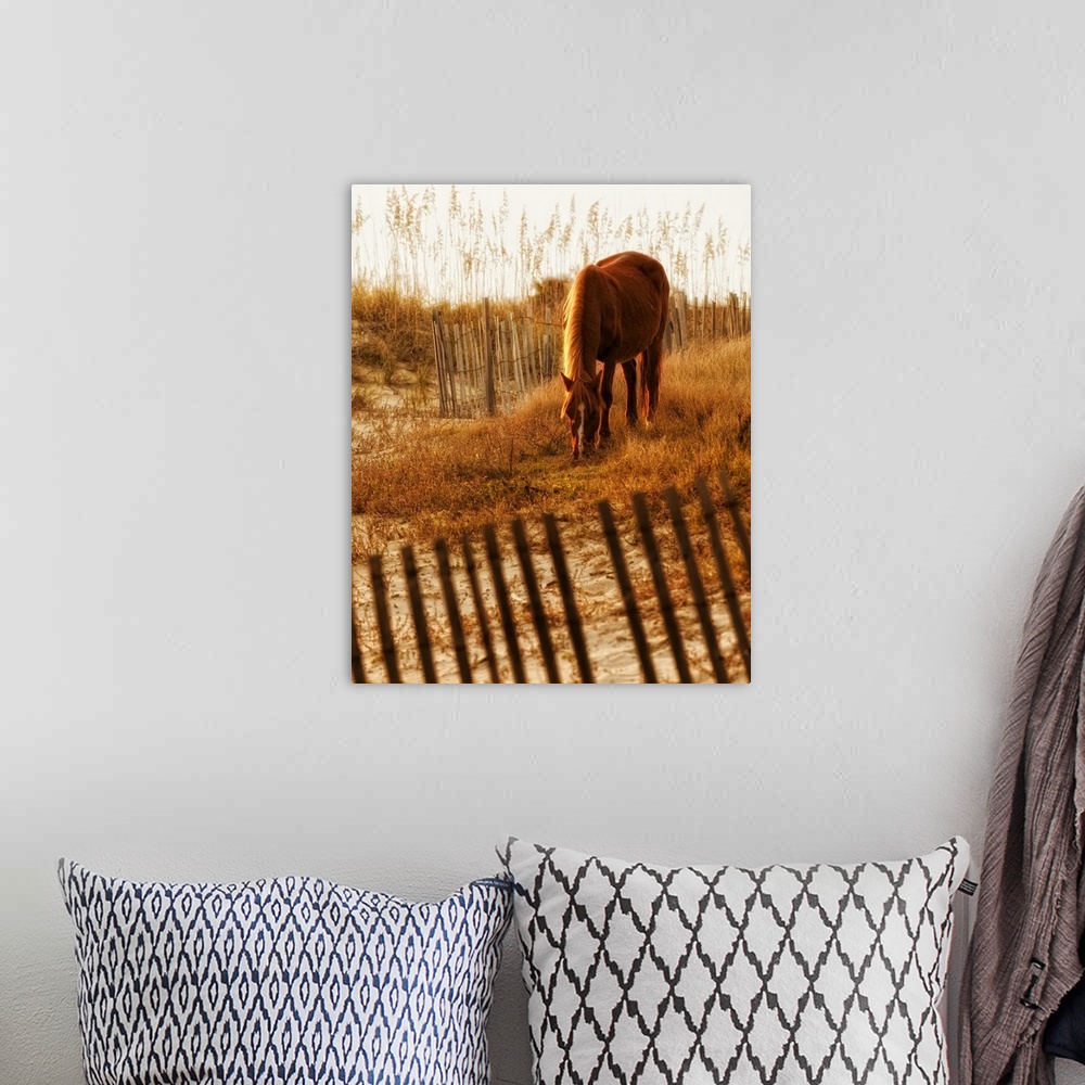 A bohemian room featuring Fine art photo of a horse grazing on grassy dunes.