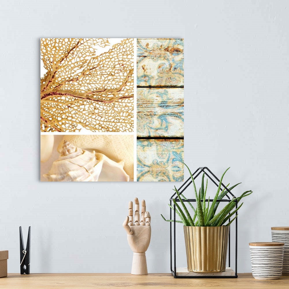 A bohemian room featuring A square collage of beach theme images including coral and shells.