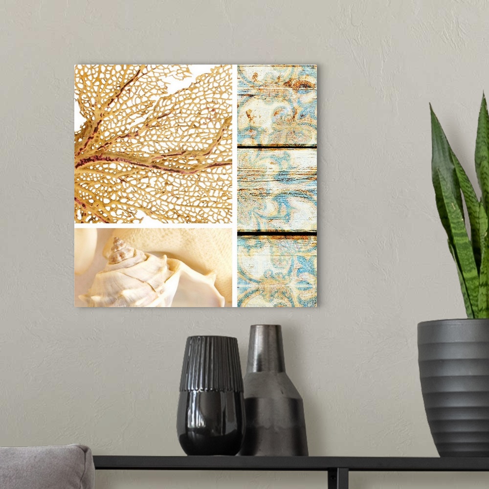 A modern room featuring A square collage of beach theme images including coral and shells.