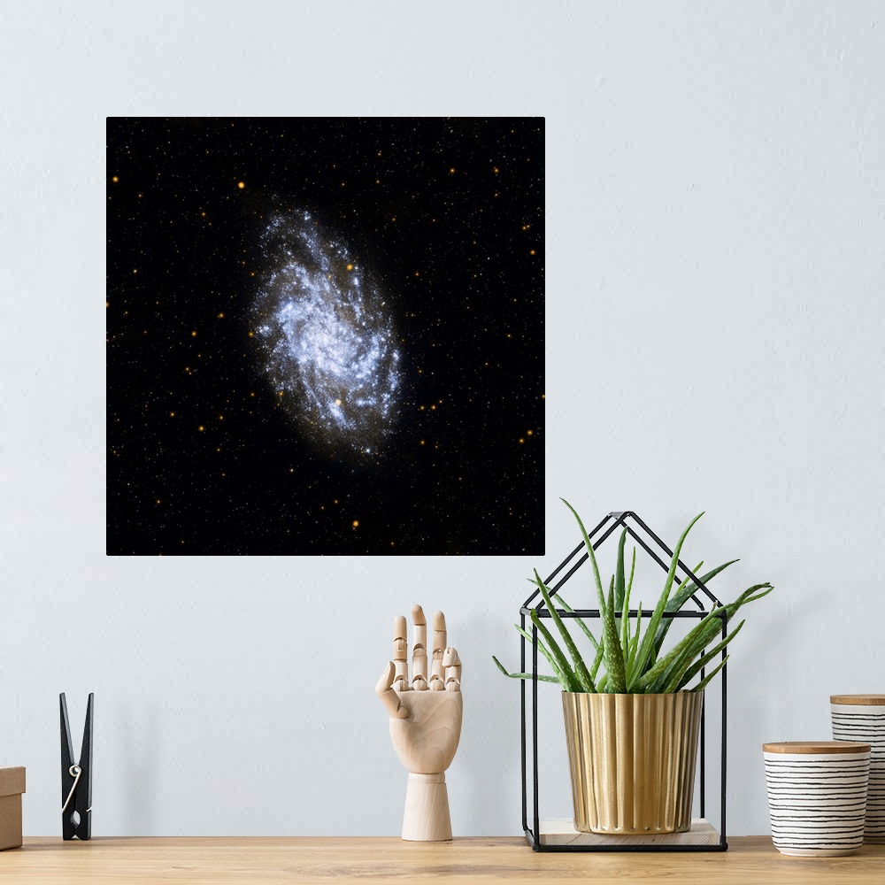 A bohemian room featuring NASA's Galaxy Evolution Explorer Mission celebrates its sixth anniversary studying galaxies beyon...