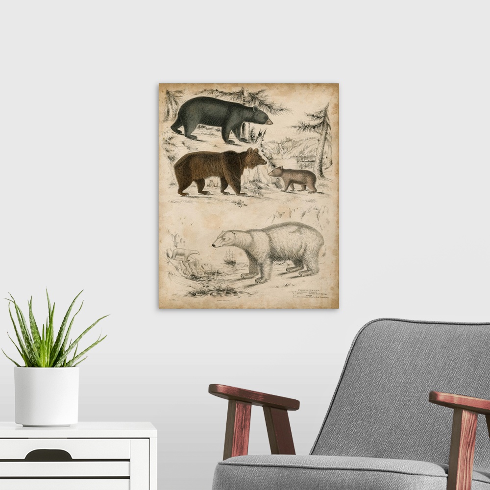 A modern room featuring Species of Bear